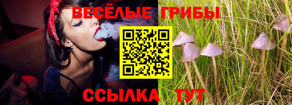 Березники  Псилоцибиновые грибы MAGIC MUSHROOMS  Галлюциногенные грибы ЛСД  Вход с VPN 